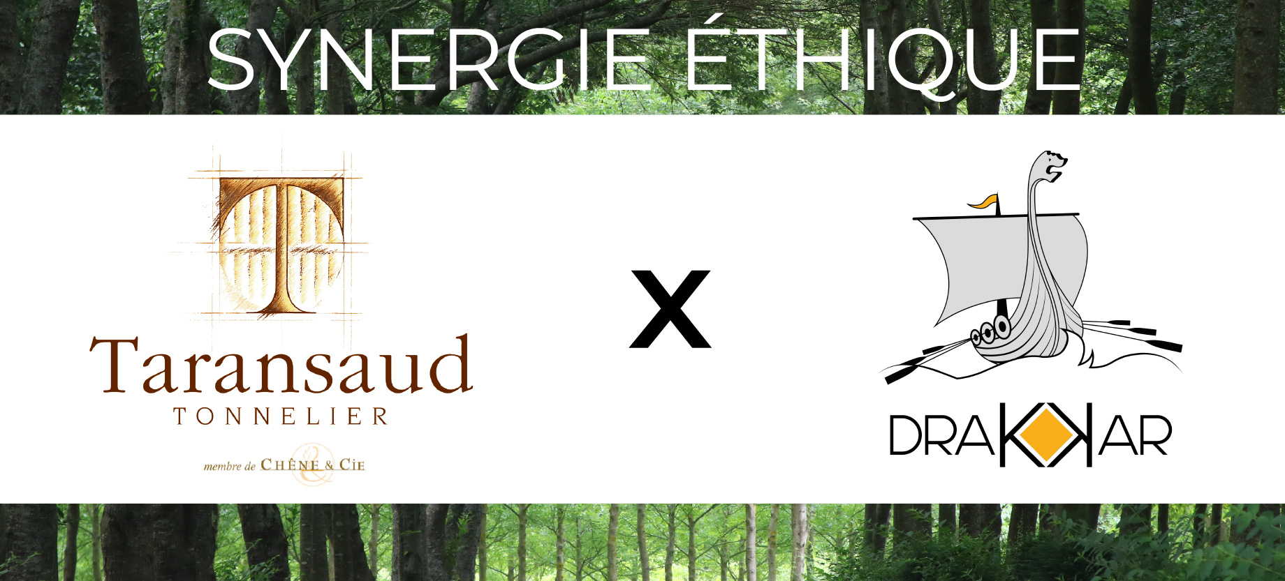 Logo TARANSAUD x DRAKKAR
